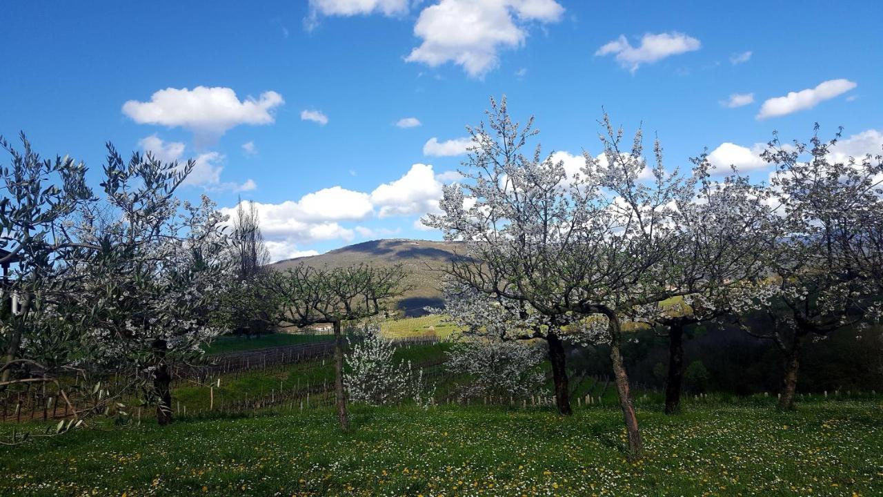 Casaroman San Floriano del Collio Екстер'єр фото
