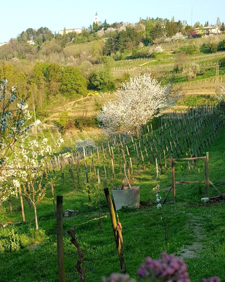 Casaroman San Floriano del Collio Екстер'єр фото