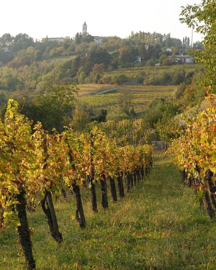 Casaroman San Floriano del Collio Екстер'єр фото