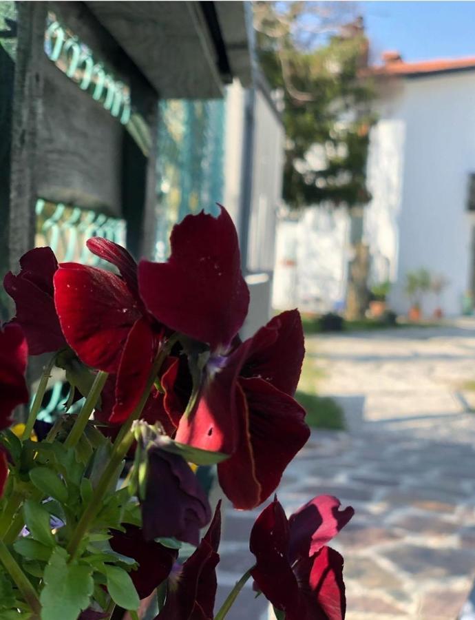 Casaroman San Floriano del Collio Екстер'єр фото