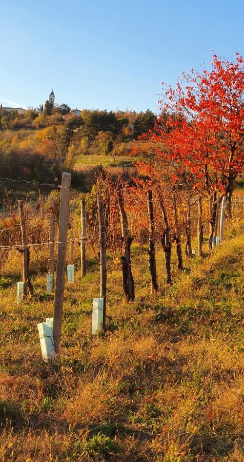 Casaroman San Floriano del Collio Екстер'єр фото